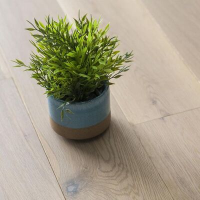 Lusso Anzio White Oiled Engineered European Oak 190mm x 14/3mm